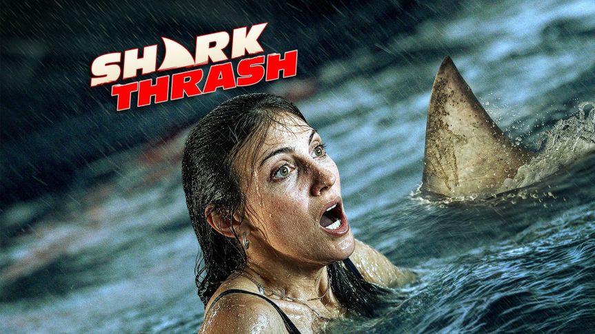 Streaming: Shark Thrash